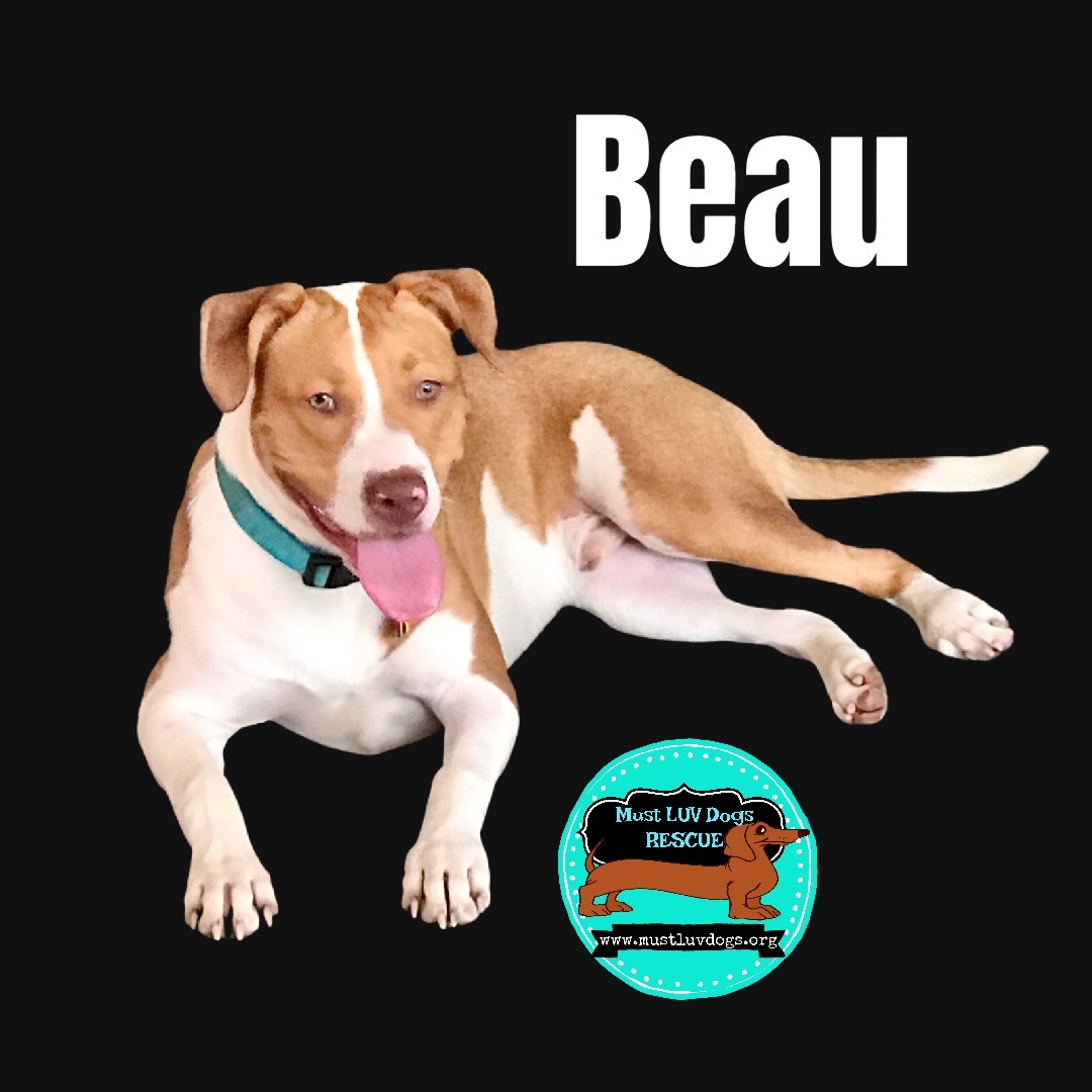 Beau