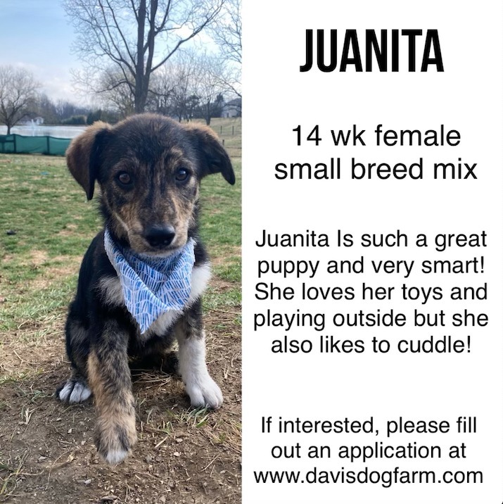 Juanita