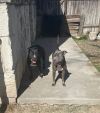 Bernadette & Gertrude