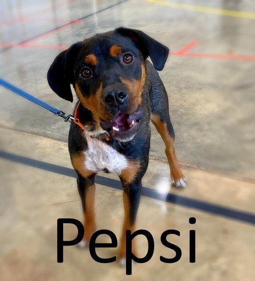 Pepsi