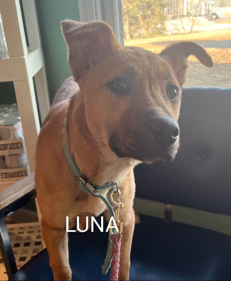 Luna