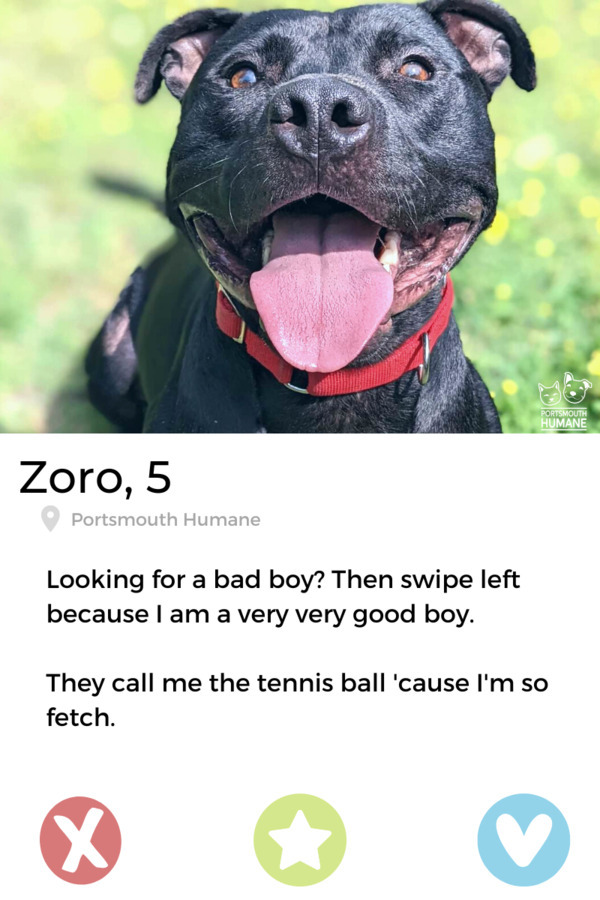 Zoro