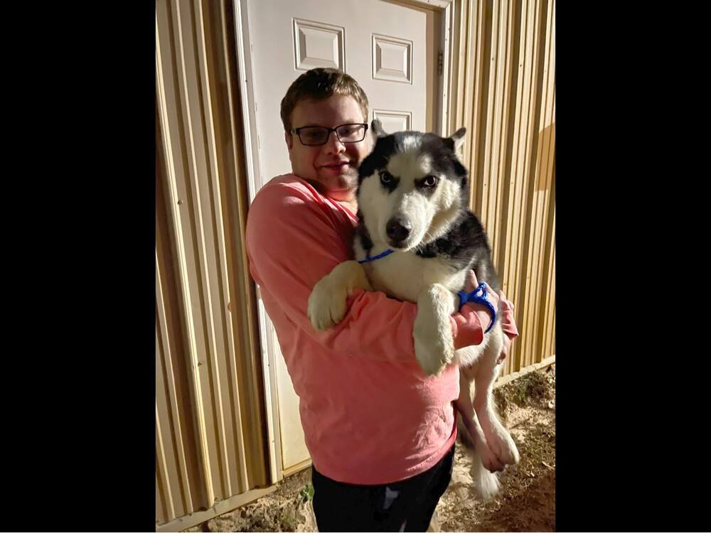 Tracker, an adoptable Husky in Troy, AL, 36081 | Photo Image 2