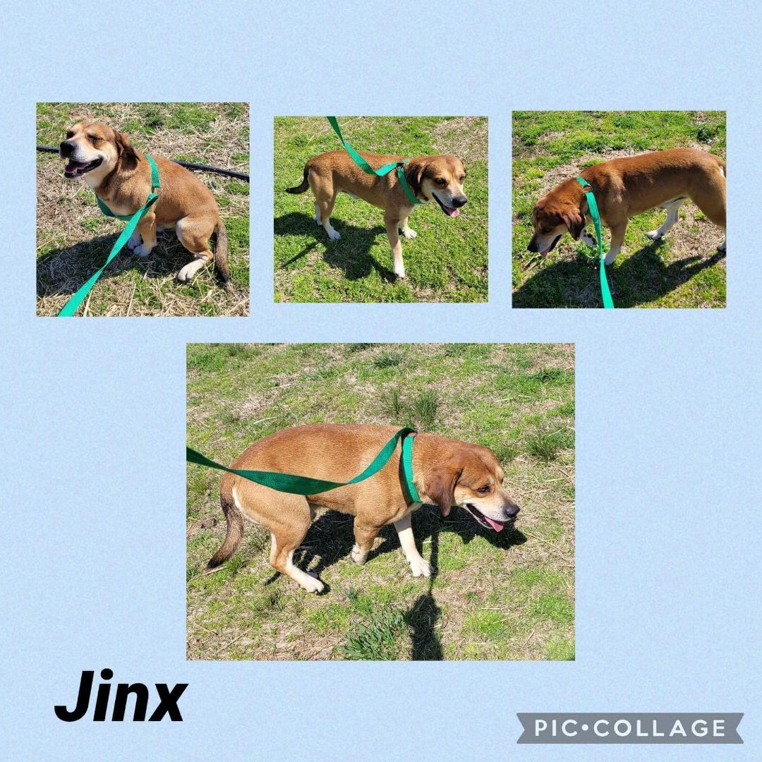 JInx