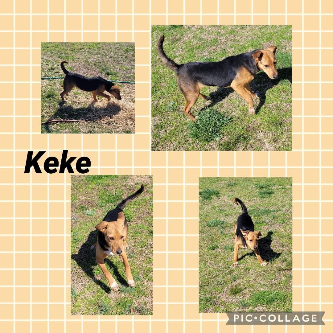 Keke