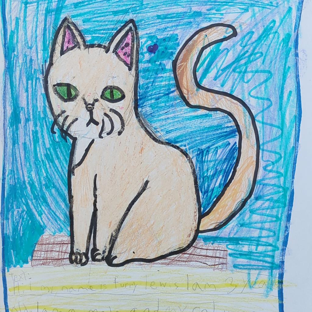 Furry Lewis, an adoptable Domestic Short Hair in Kanab, UT, 84741 | Photo Image 2