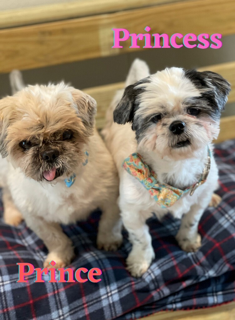 Princess / Prince