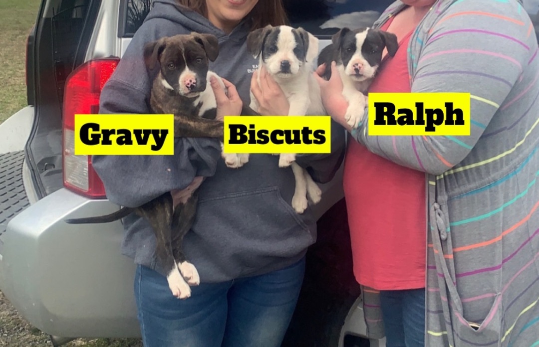 Gravy, Biscuts, & Ralph