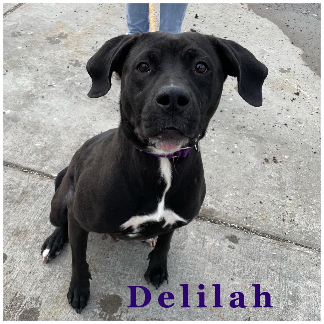 Delilah