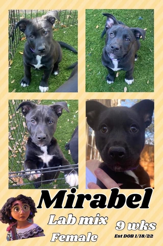 Mirabel (in NE)