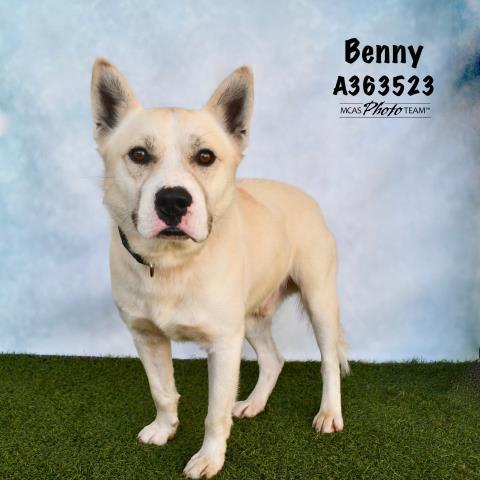 BENNY