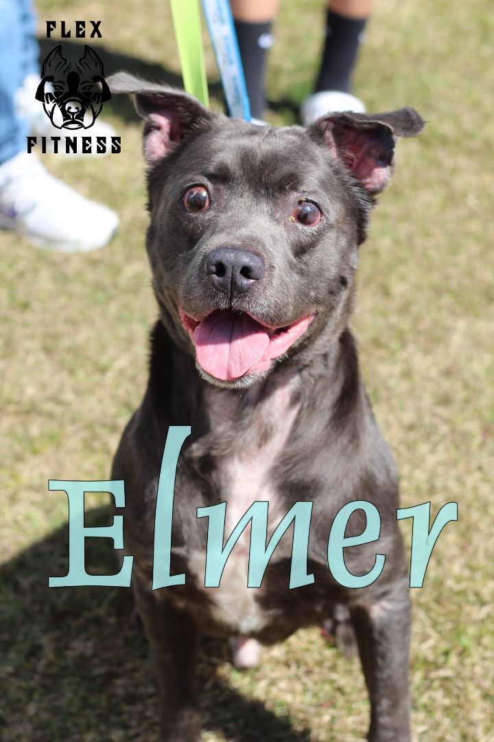 Elmer