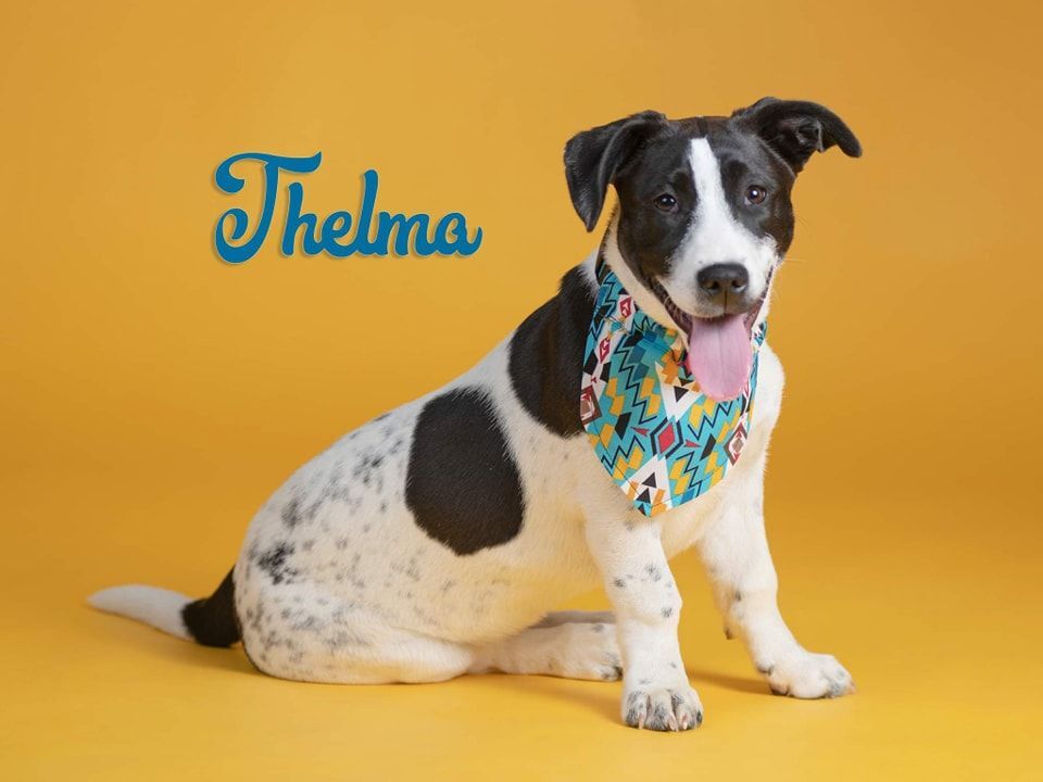 Thelma