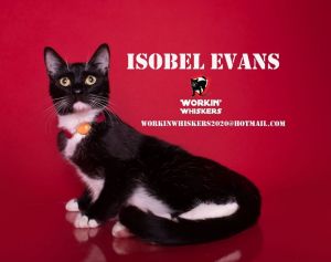 ISOBEL EVANS