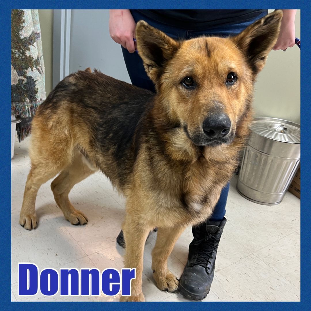 Foster Me! Donner!