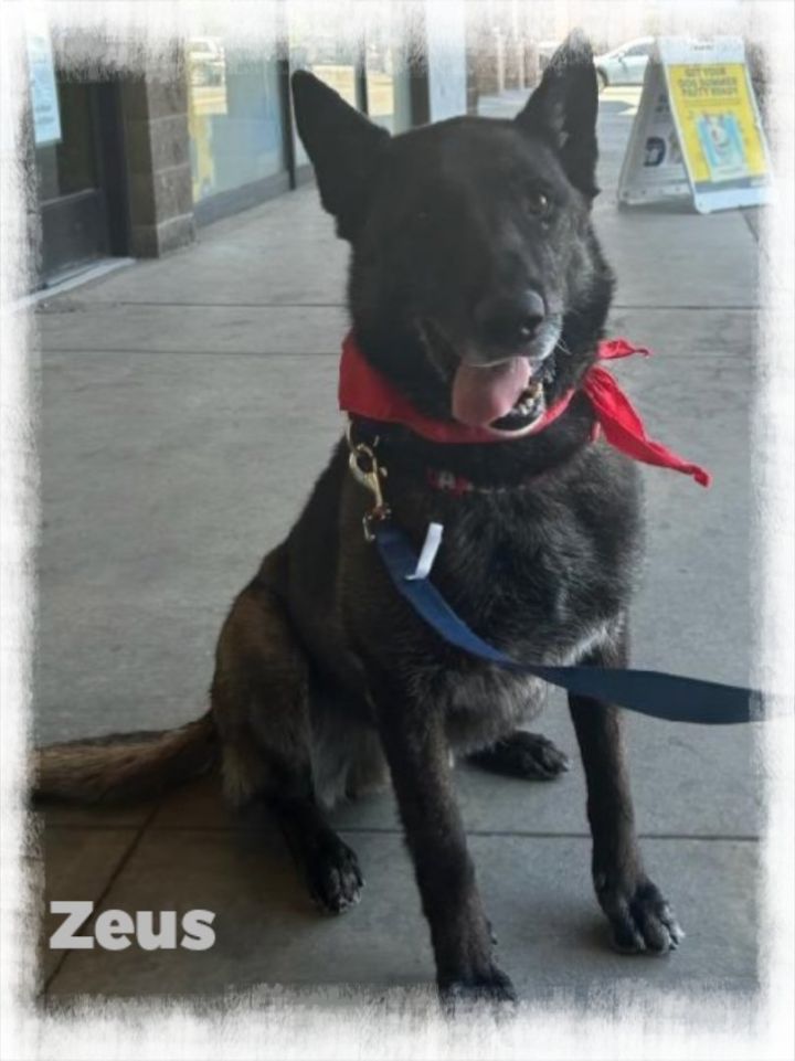 Zeus 1