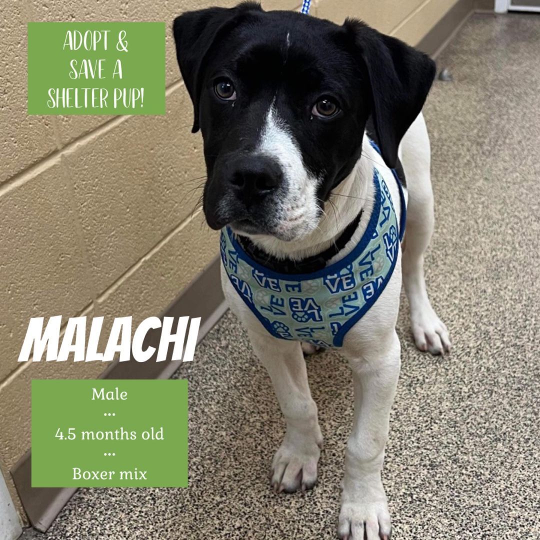 Malachi