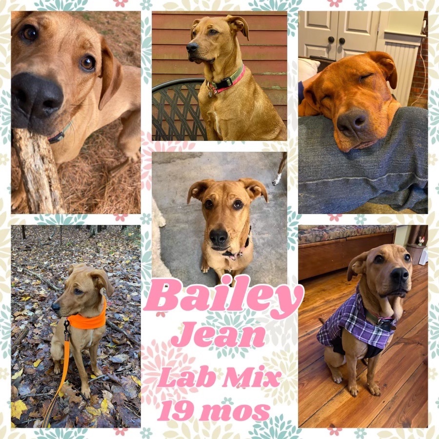 Bailey Jean (in NE)