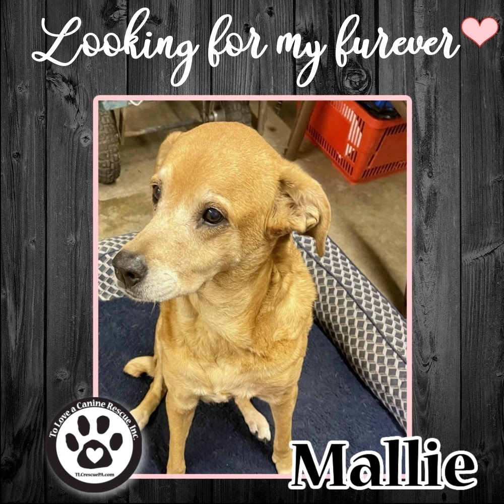 Mallie 040222