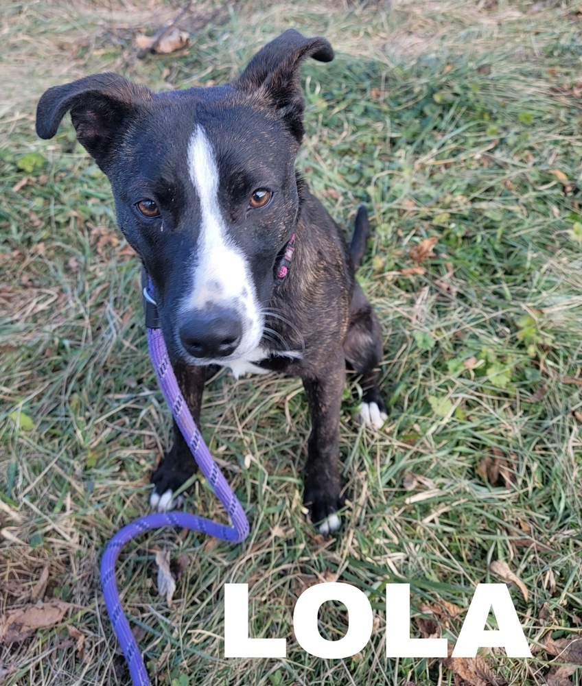 Lola