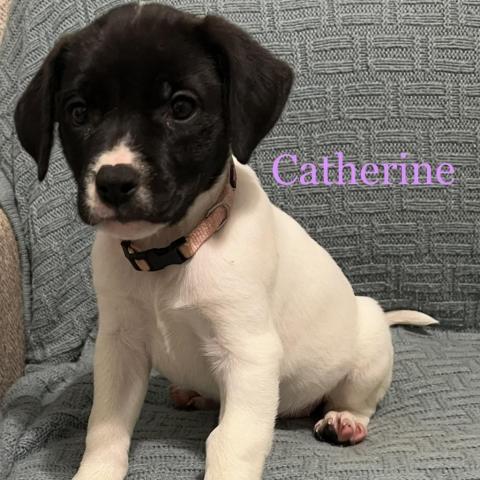 Catherine 02-1437