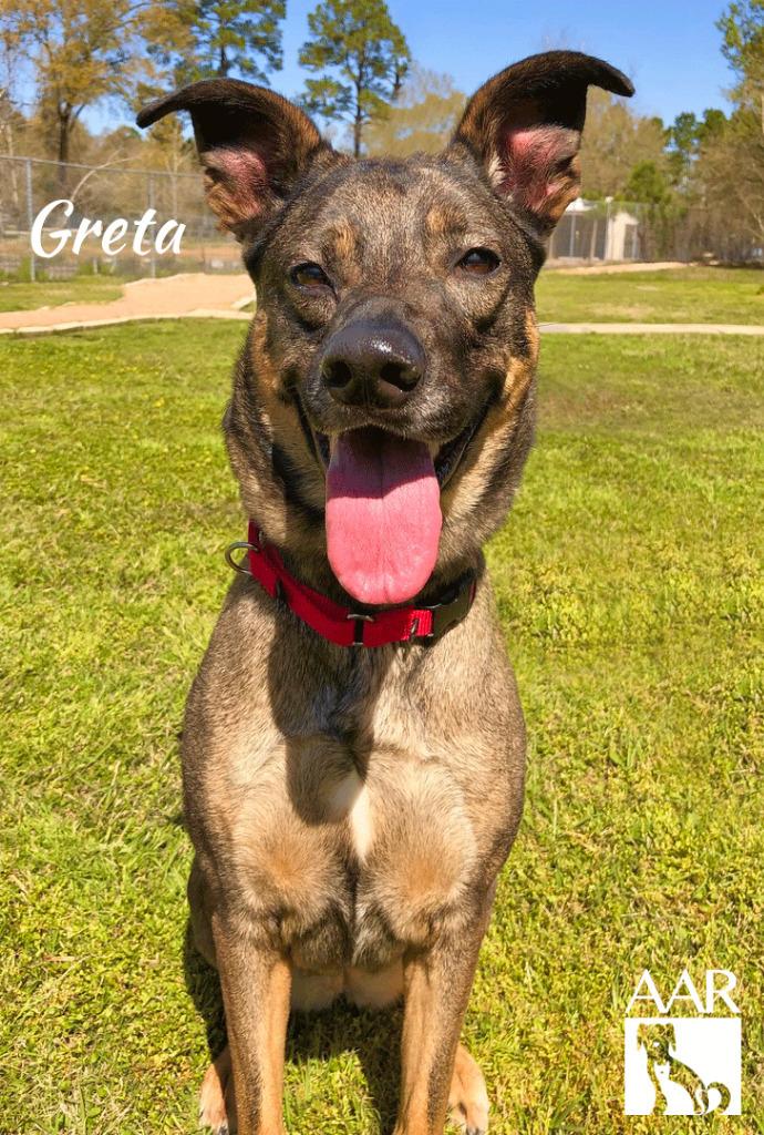 Greta