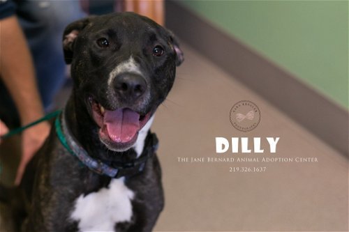 Dilly