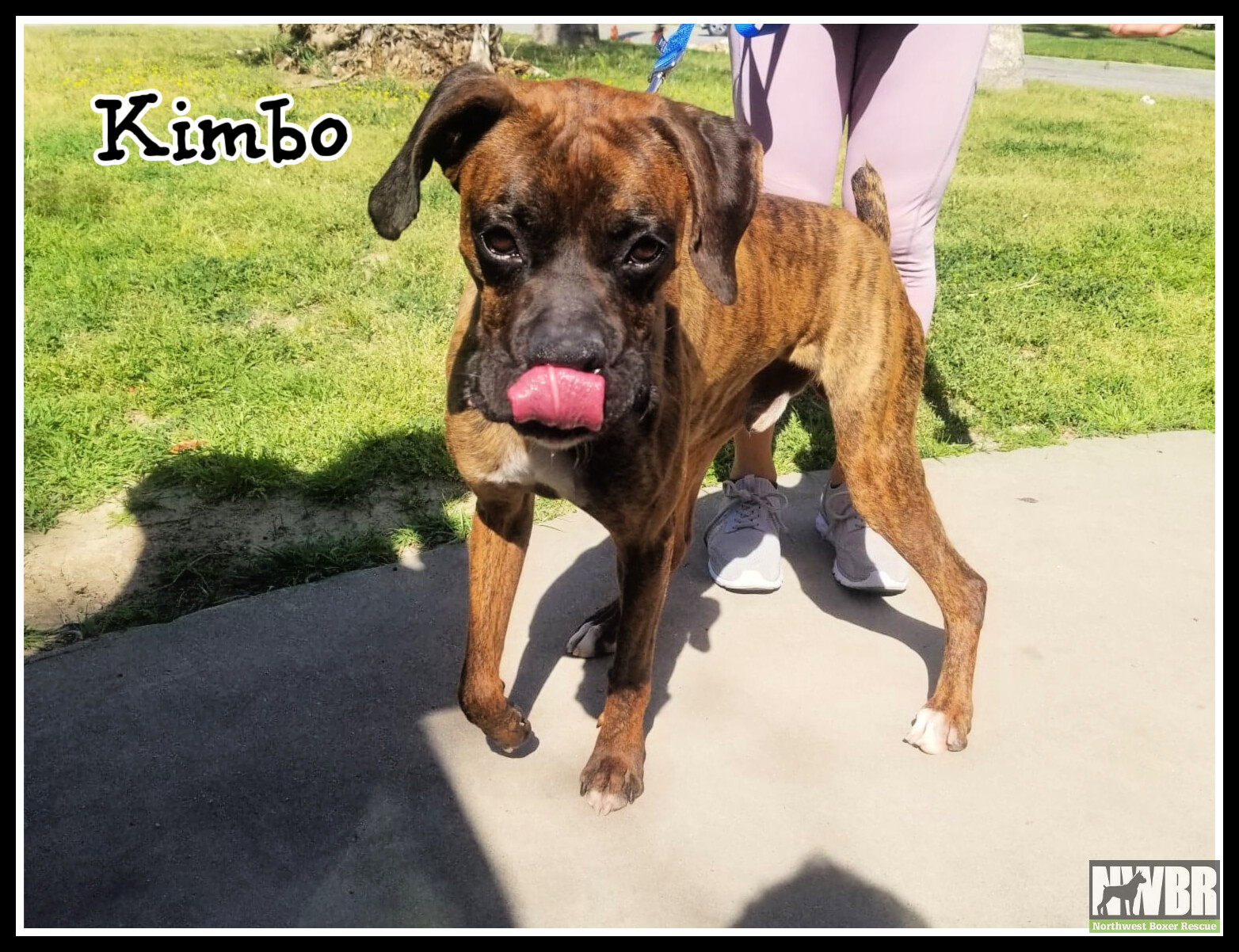 Kimbo