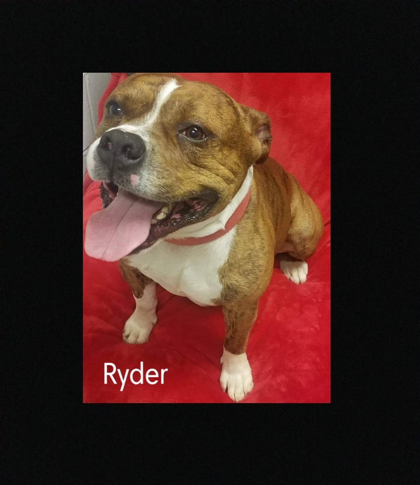 Ryder