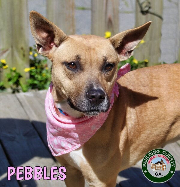 22-04-0930b Pebbles