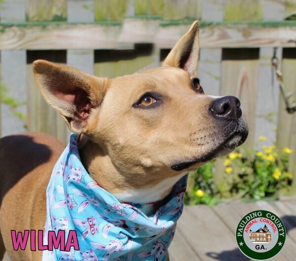 22-04-0930a Wilma