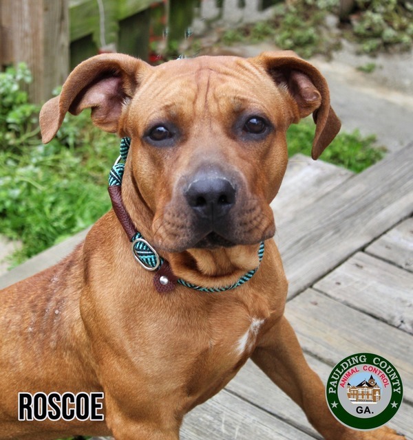 22-04-0935 Roscoe