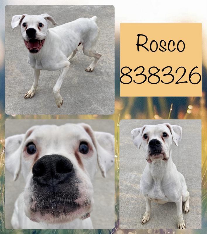 Rosco