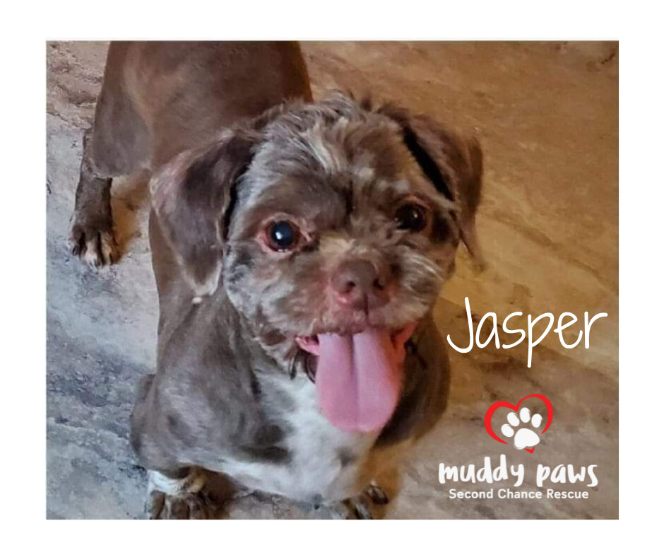 jasper- no longer accepting applications