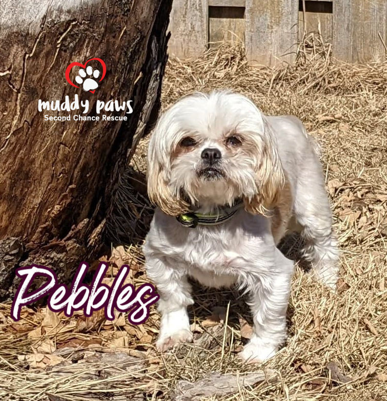 Pebbles