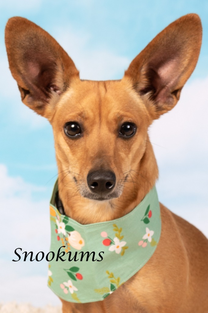 Snookums (now Daisy)