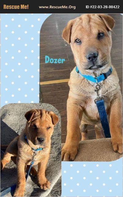 Dozer