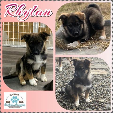 Rhylan