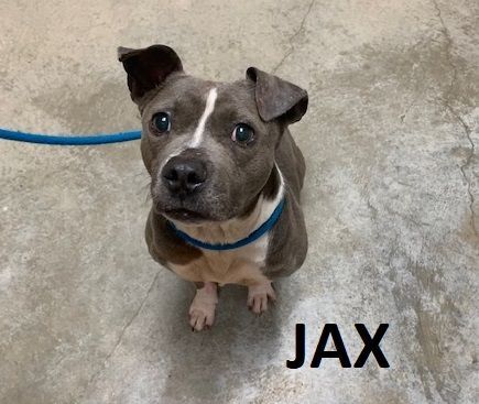 JAX