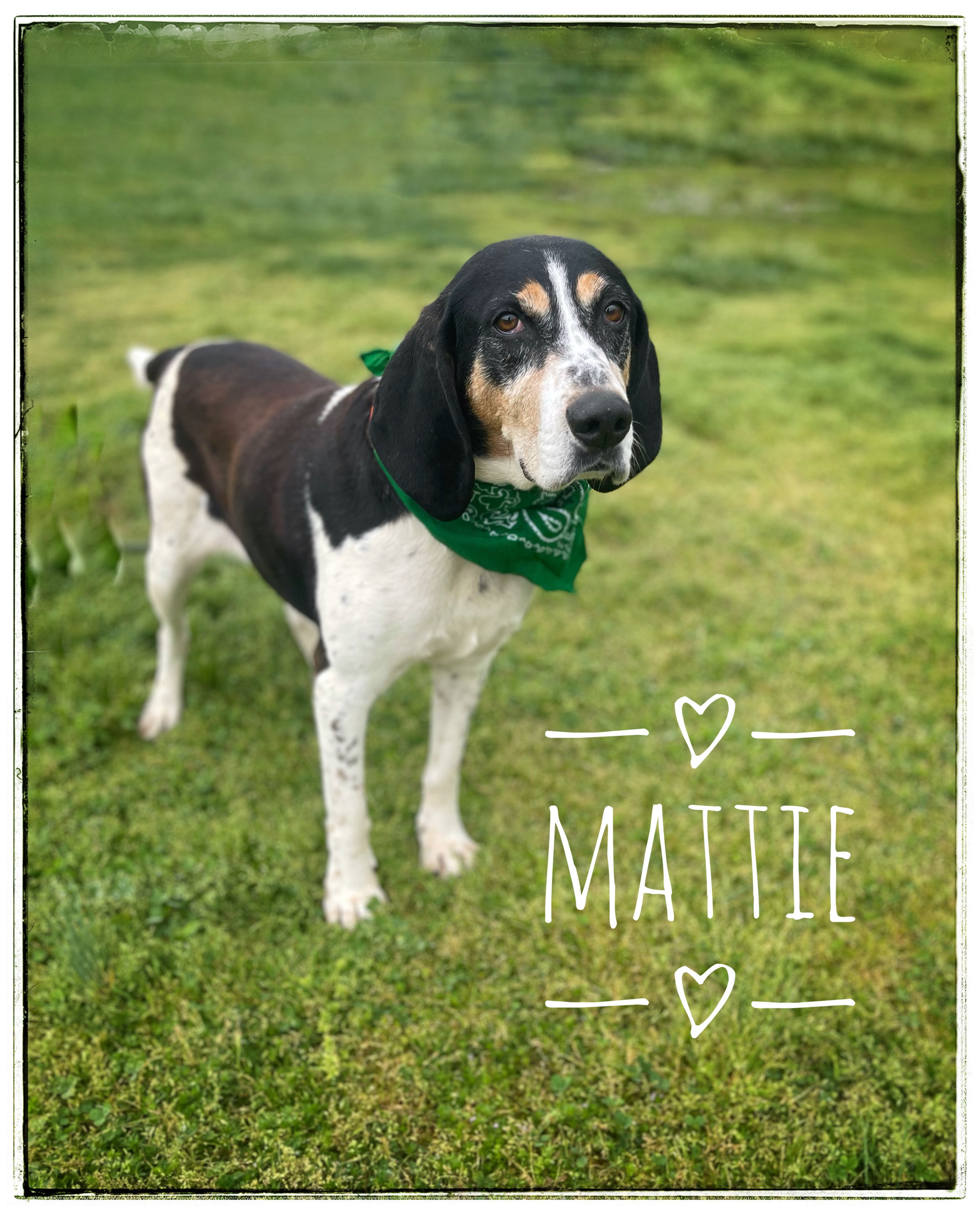 Mattie