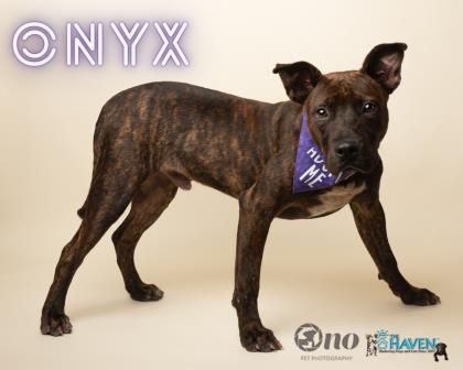 Onyx