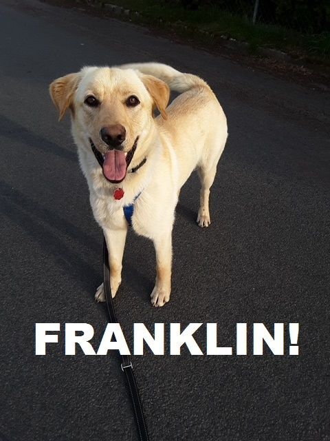 Franklin