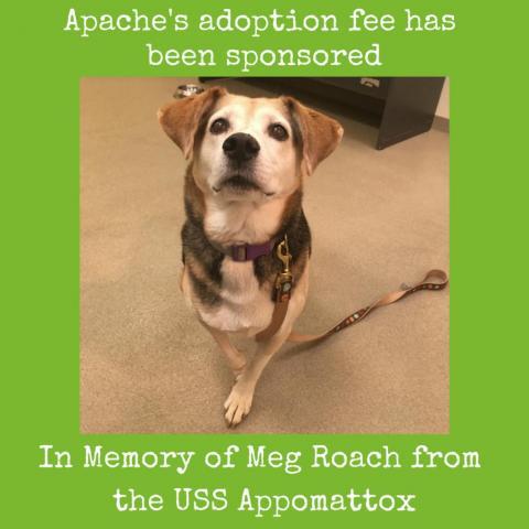 Apache