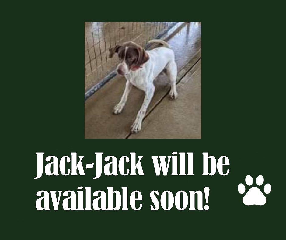 Jack-Jack (IL)