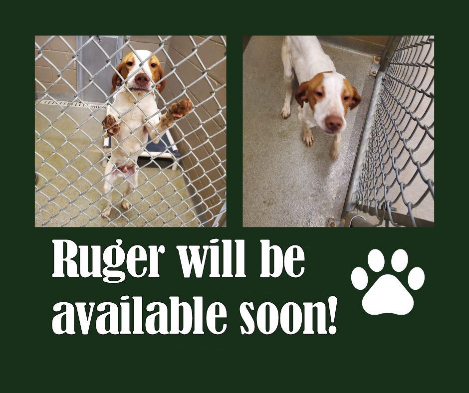 Ruger (NC)