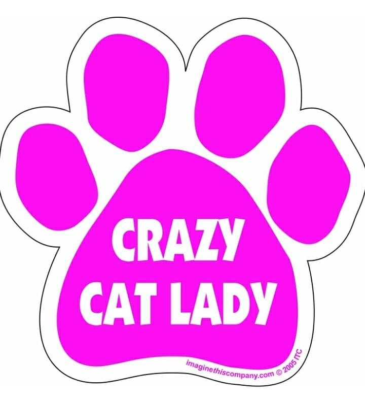 FOSTER CATS/KITTENS WITH US!!, an adoptable Domestic Short Hair, Calico in Canal Winchester, OH, 43110 | Photo Image 1