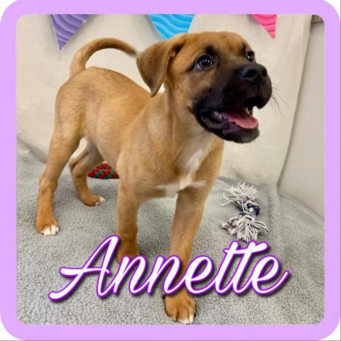 Annette