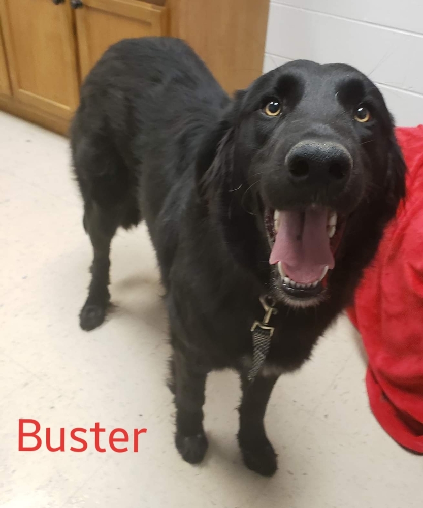 Buster