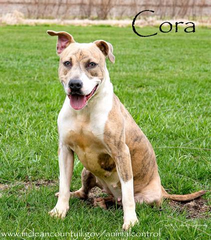 CORA