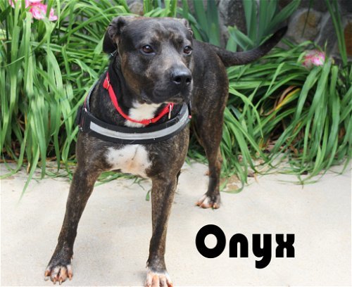 Onyx